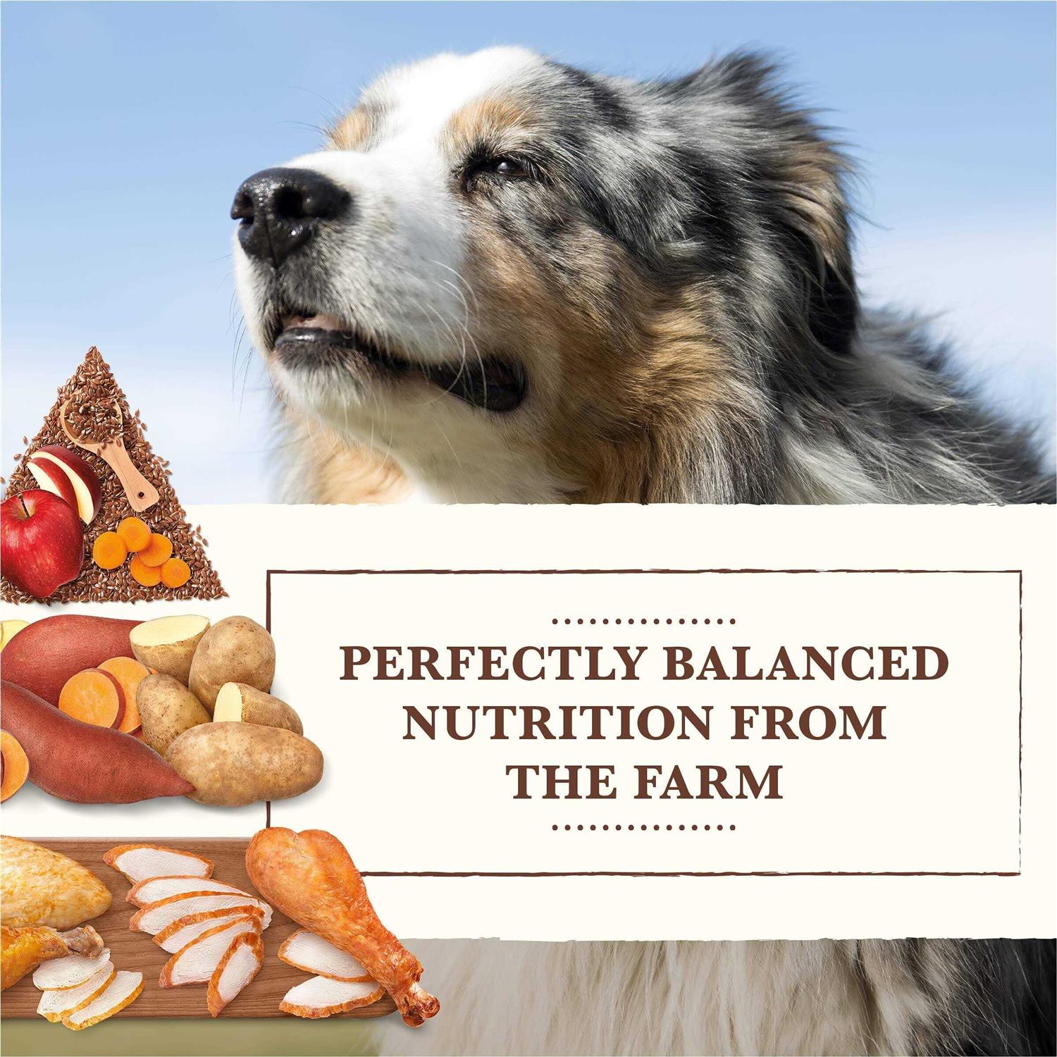 Whole Earth Farms Grain Free Chicken Turkey Recipe Dry Dog Food - Nail Gallerys