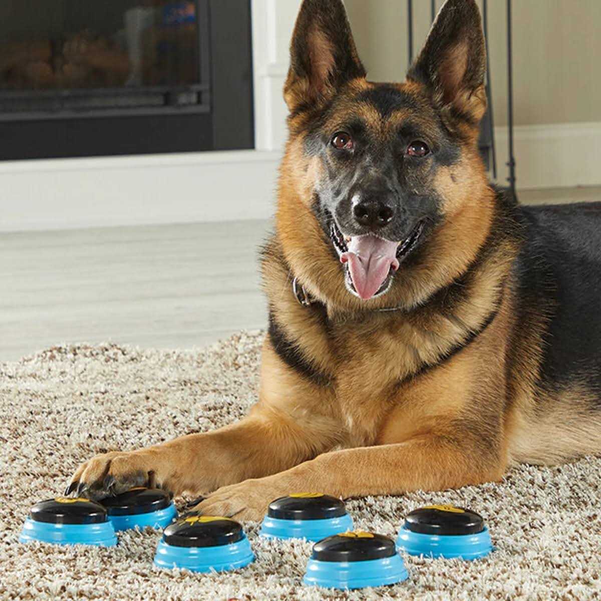 Hunger for Words Talking Pet Essential Words - Nail Gallerys