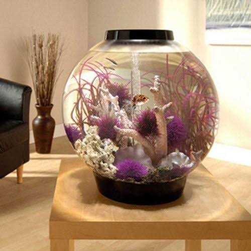 biOrb Classic 60 Aquarium with LED - Nail Gallerys