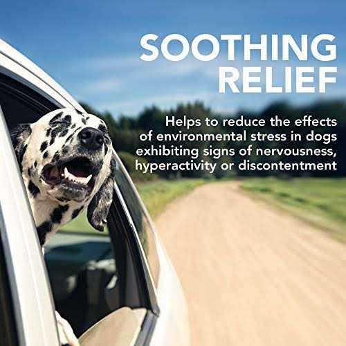 Vet’s Best Comfort Calm Soft Chews - Nail Gallerys