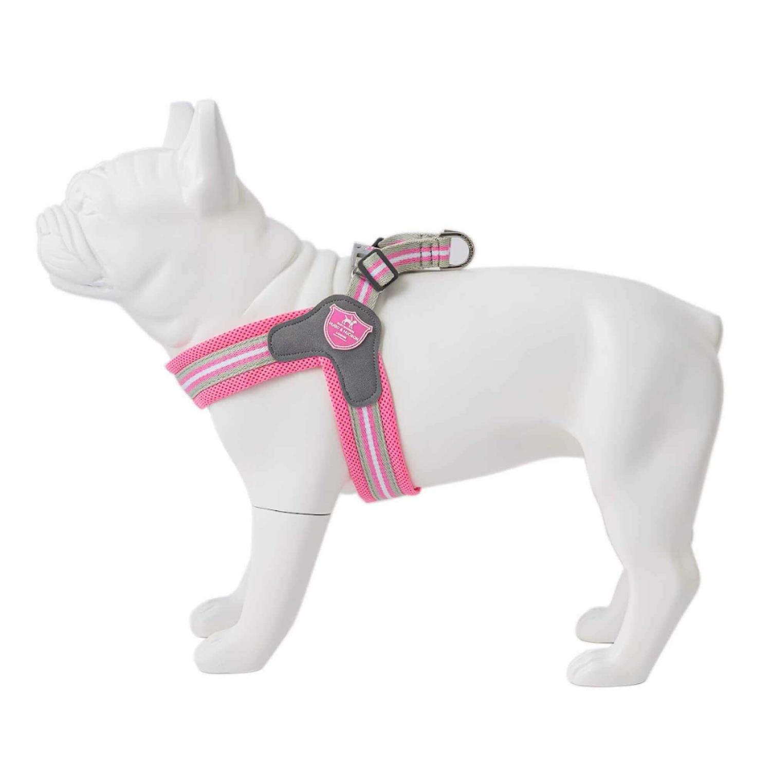 HUGO & HUDSON Easy Walk V Dog Harness - Nail Gallerys