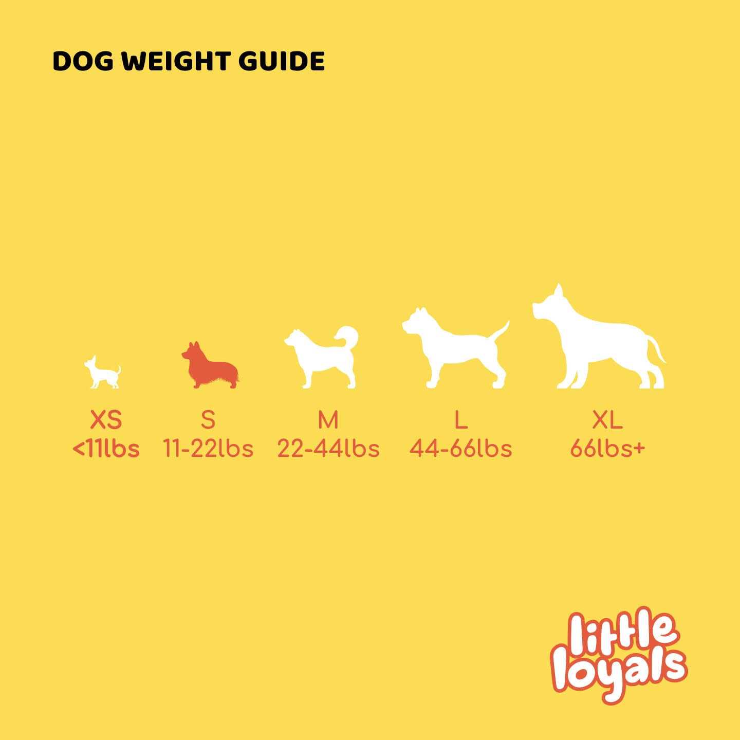 Little Loyals Premium Olive Wood Dog Chew - Nail Gallerys