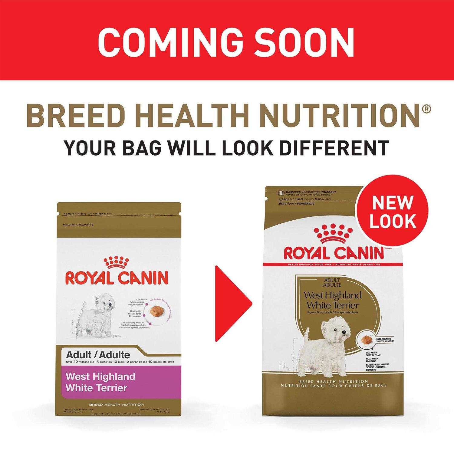 Royal Canin West Highland White Terrier Adult Dry Dog Food - Nail Gallerys