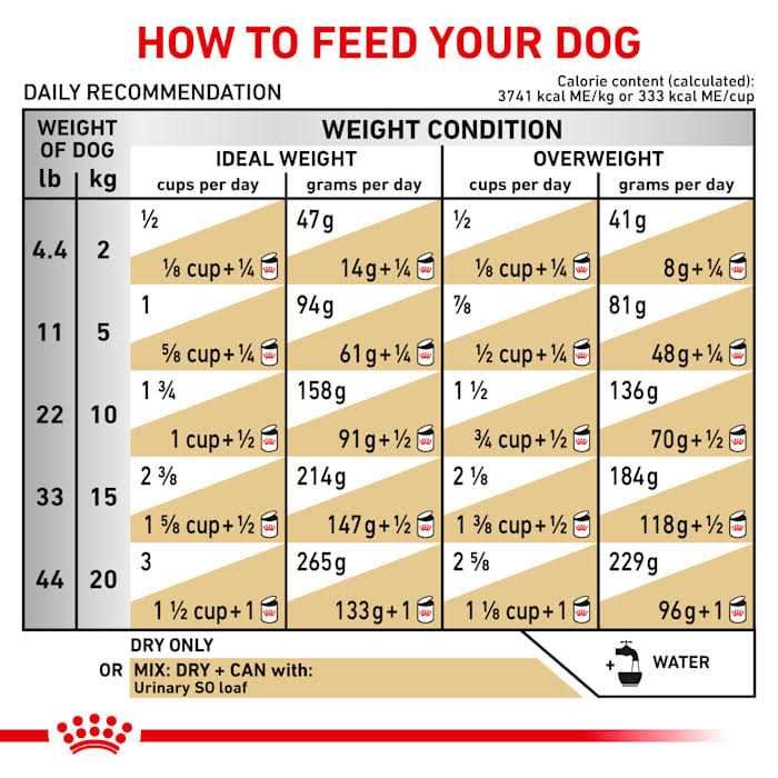 Royal Canin Veterinary Diet Canine Urinary SO Dry Dog Food - Nail Gallerys