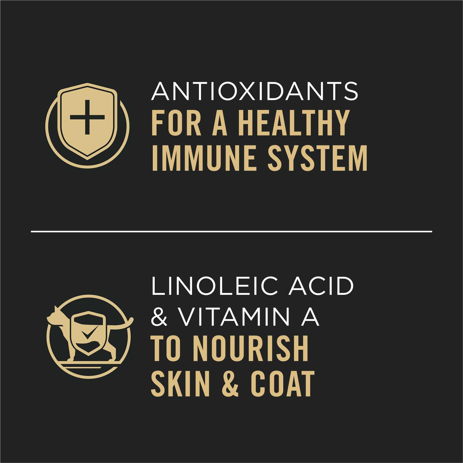 Purina Pro Plan Grain Free Pate Wet Cat Food, Complete Essentials Turkey and Vegetables Entree - Nail Gallerys