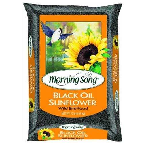 Morning Song Black Oil Sunflower Wild Bird Food - Nail Gallerys