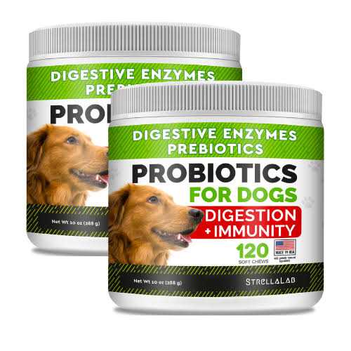StrellaLab Probiotics for Dogs - Nail Gallerys