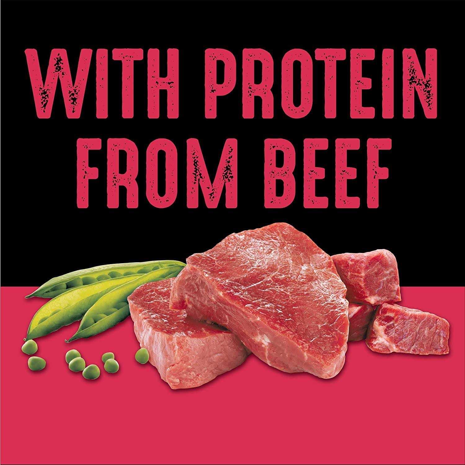 Crave Grain Free Adult Dry Dog Food with Protein - Nail Gallerys