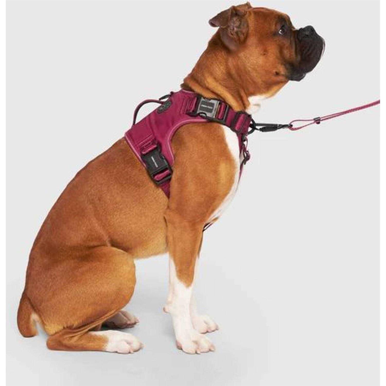 Canada Pooch Complete Control Dog Harness - Nail Gallerys