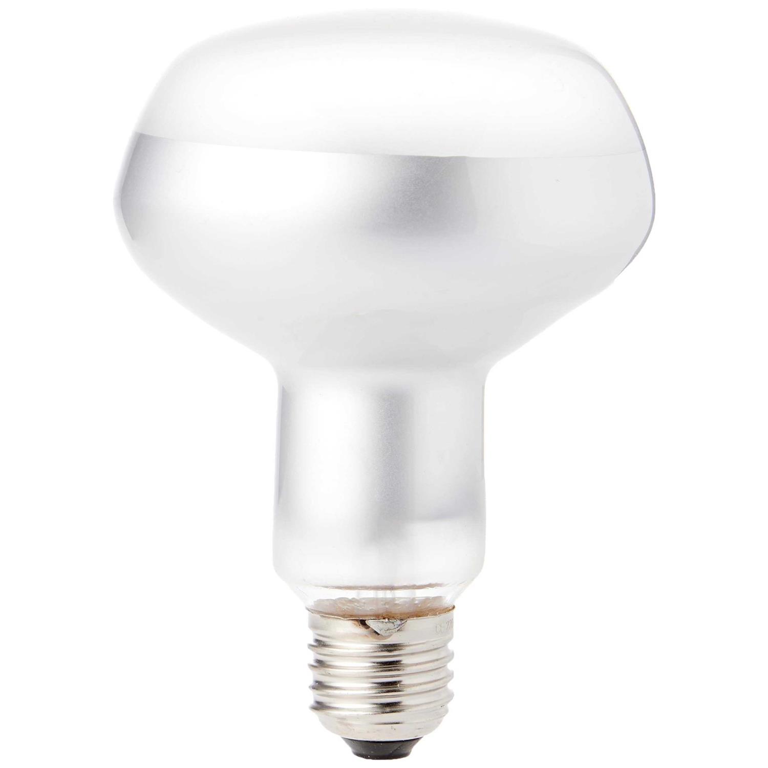 Exo Terra Intense Basking Spot - Nail Gallerys