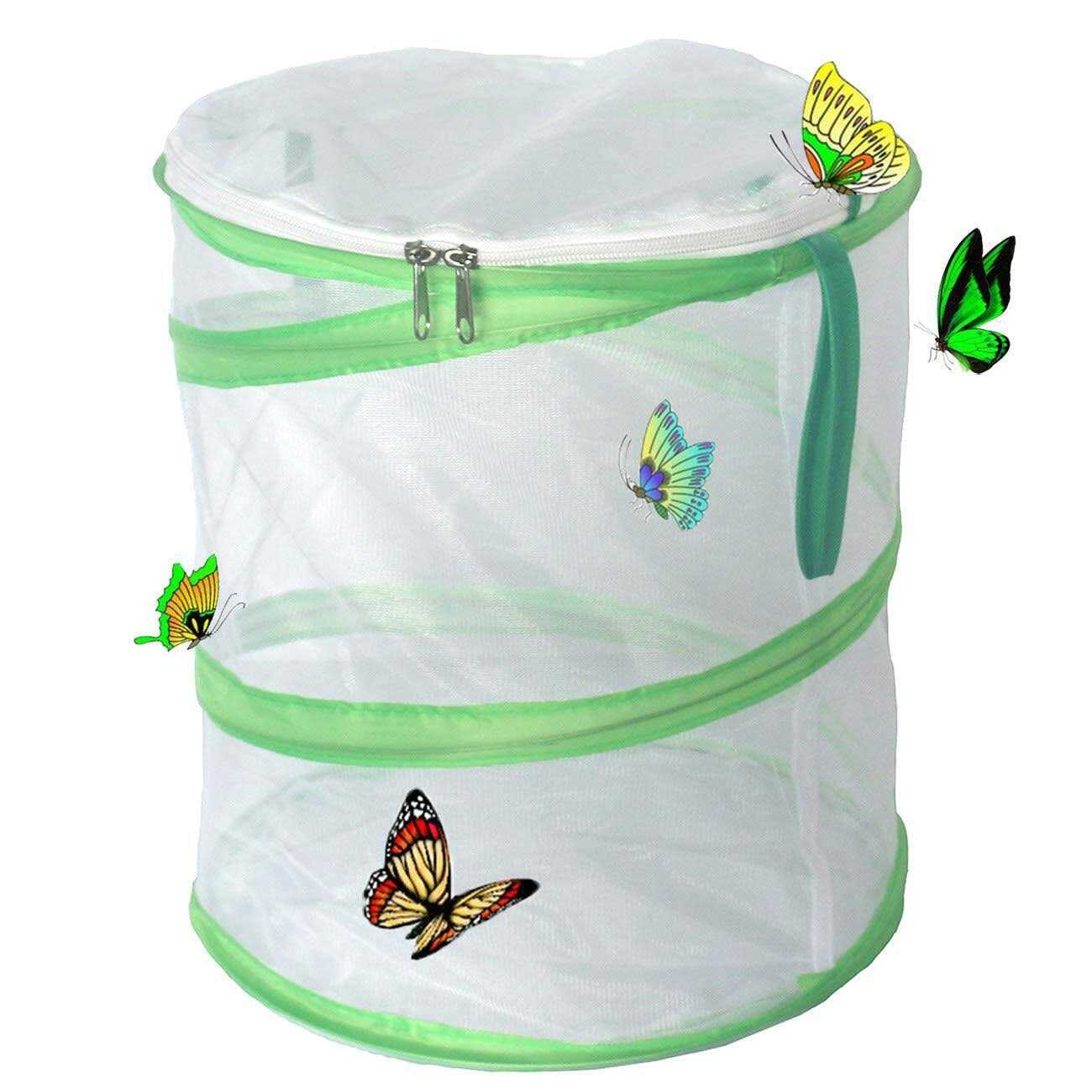 Trasfit Pop-up Insect and Butterfly Habitat Cage Terrarium - Nail Gallerys