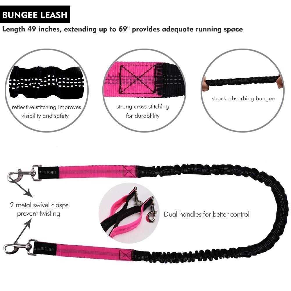 Hands Free Dog Leash for Running Walking Training Hiking Dual-Handle Reflective Bungee - Nail Gallerys