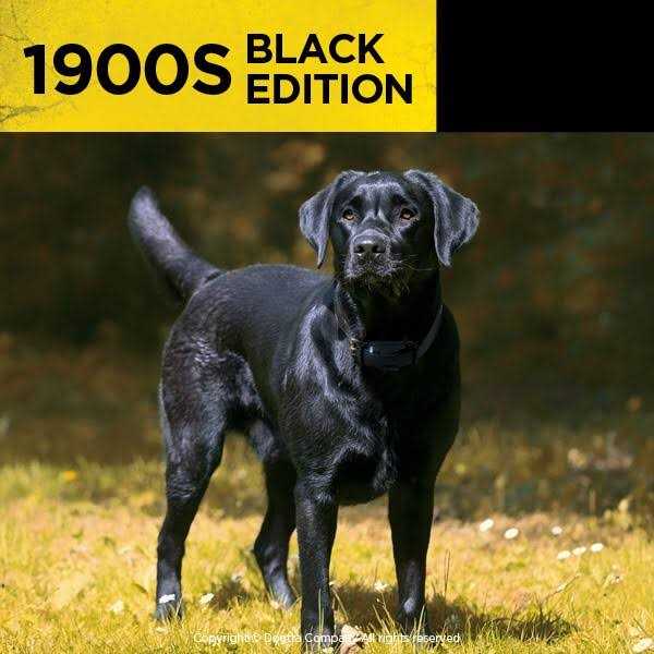 Dogtra 1900S Black Edition 1 Mile Remote Trainer - Nail Gallerys