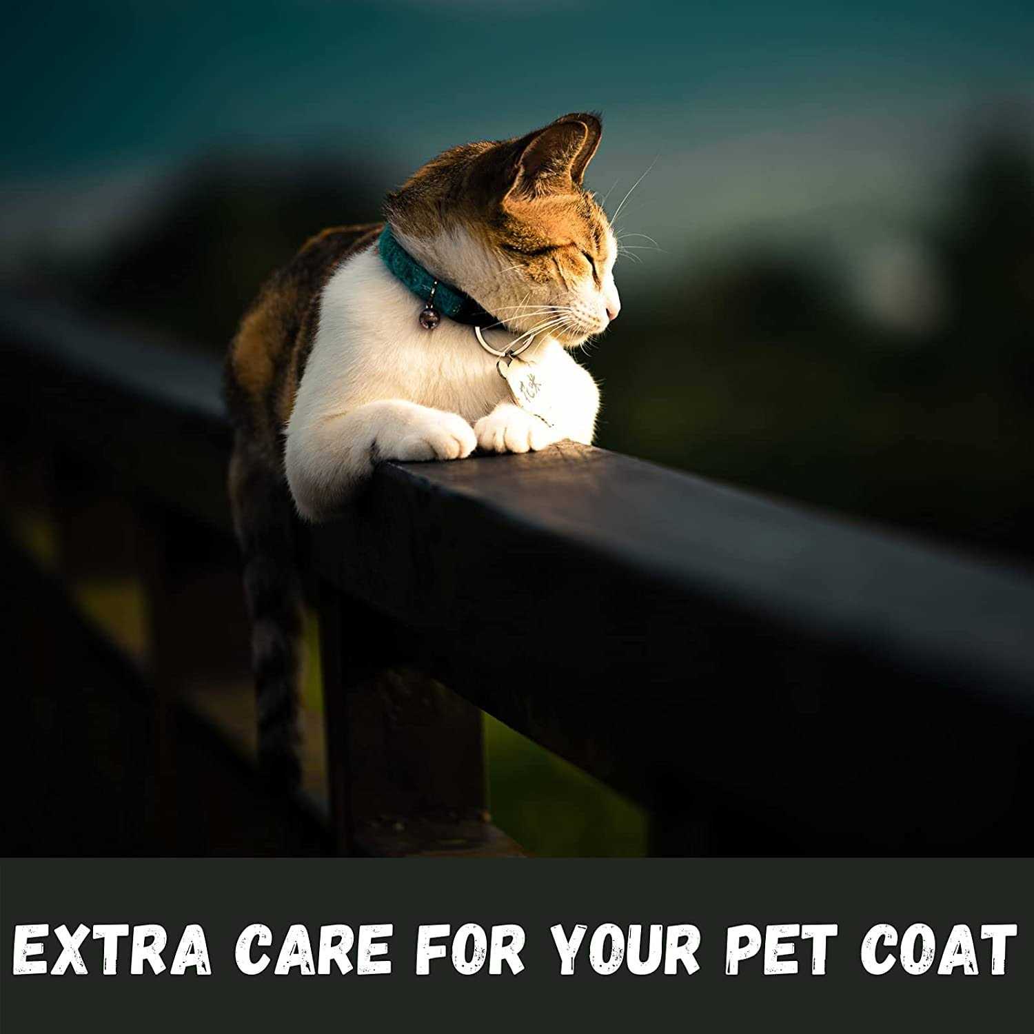 Bio Groom Purrfect White Cat Shampoo - Nail Gallerys