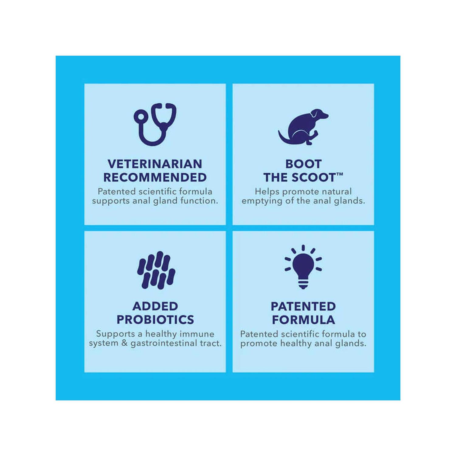 Glandex Anal Gland Soft Chews Supplement for Dogs - Nail Gallerys