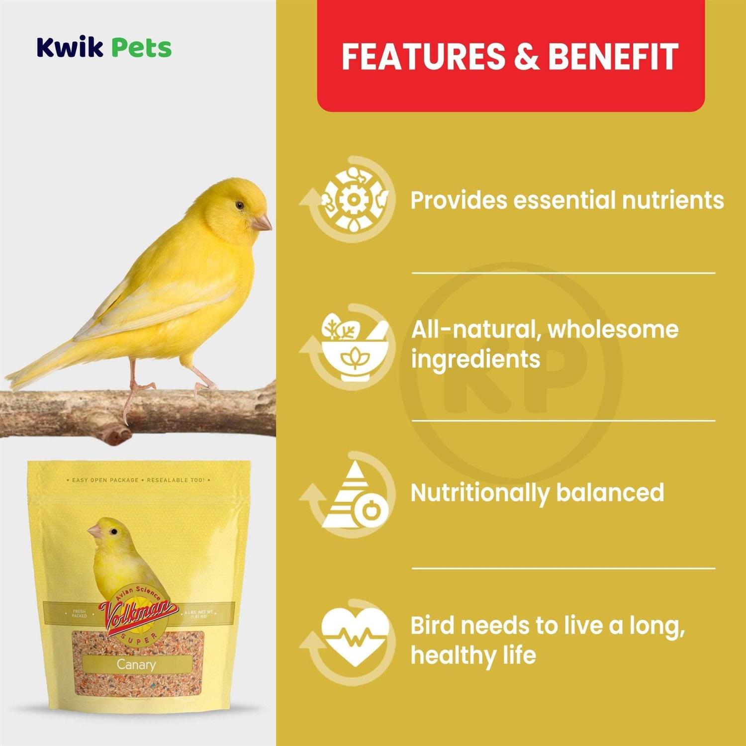 Volkman Avian Science Super Canary Seed - Nail Gallerys