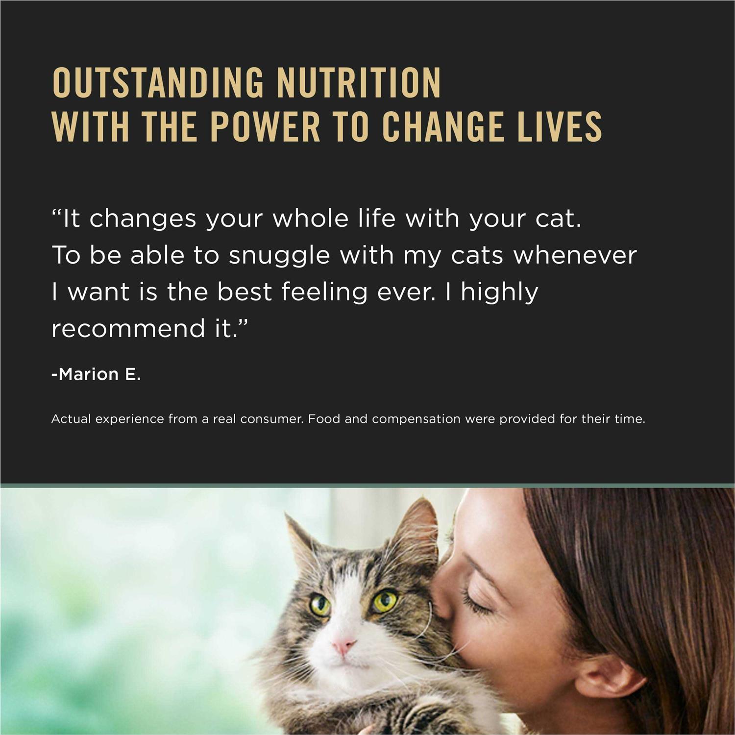 Purina Pro Plan LiveClear Dry Cat Food for Kittens Chicken & Rice Formula - Nail Gallerys