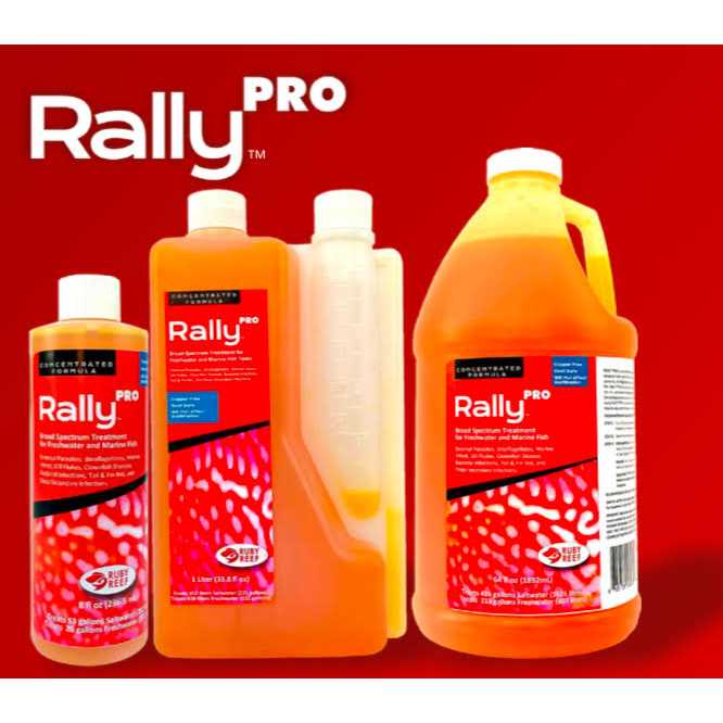 Ruby Reef Rally Pro - Nail Gallerys