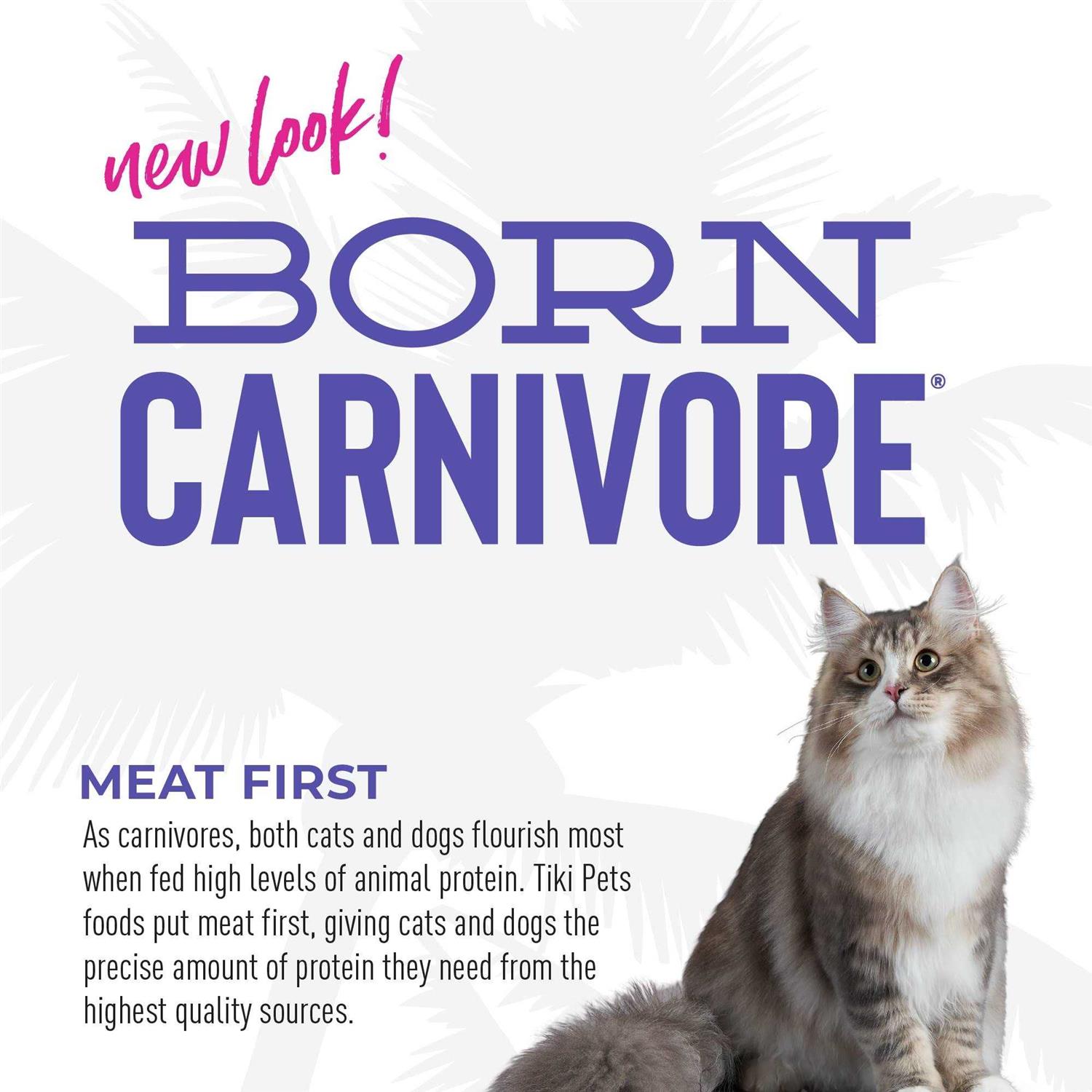 Tiki Cat Born Carnivore Turkey Light Dry Food - Nail Gallerys