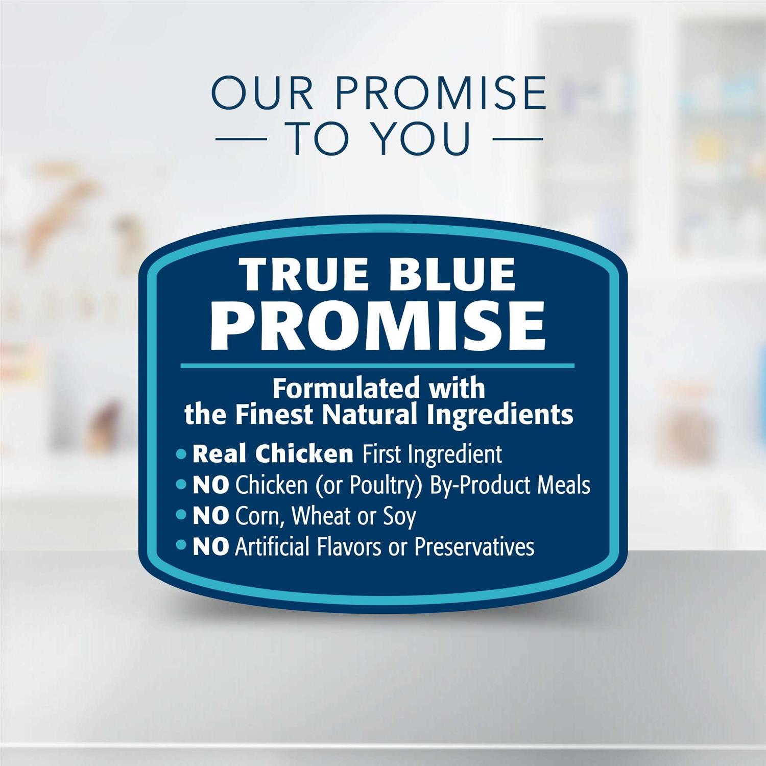 Blue Buffalo Natural Veterinary Diet W+U Weight Management + Urinary Care Dry Cat Food - Nail Gallerys