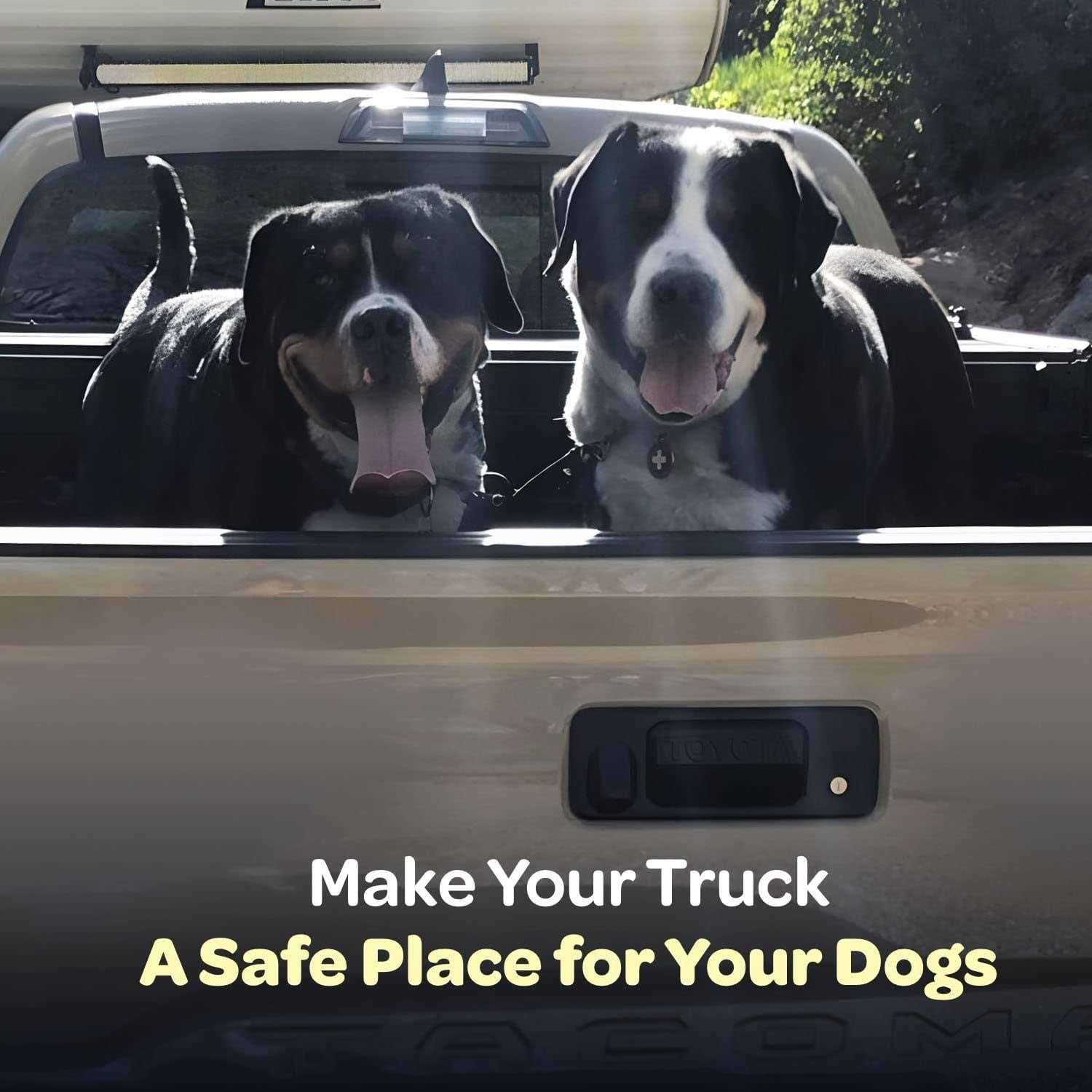 Labra Dog Truck Bed Leash Tether - Nail Gallerys