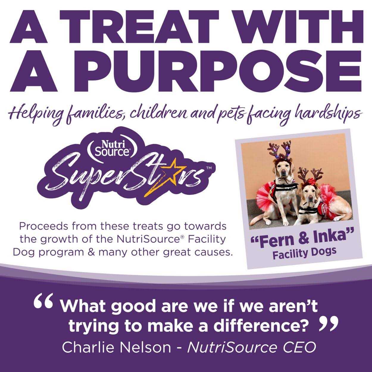 NutriSource SuperStars Bacon Dog Training Treats - Nail Gallerys