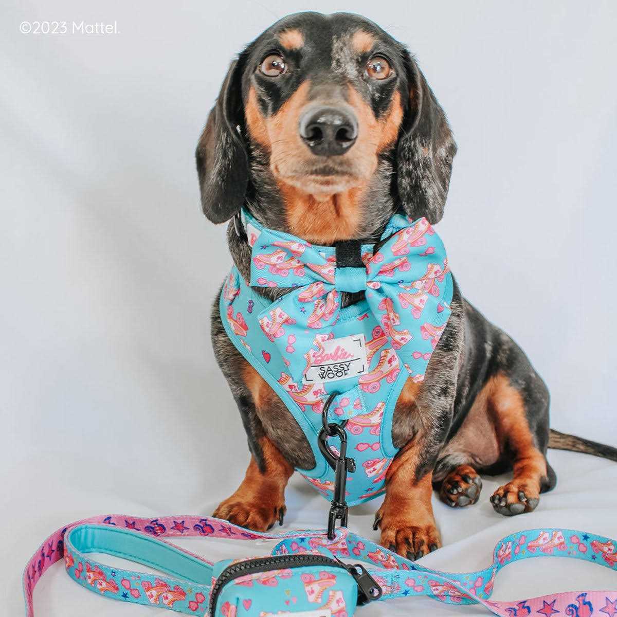 Barbie Dog Collar Sassy Woof - Nail Gallerys