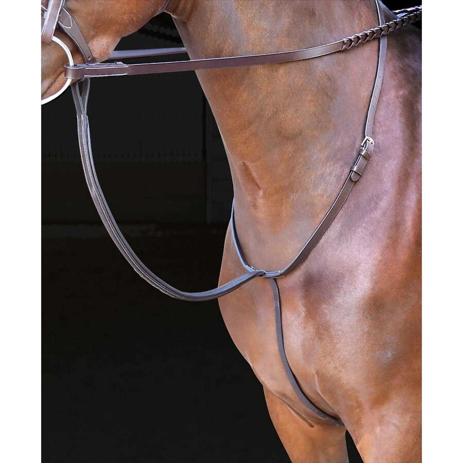 Pet Gazebo Dog Kennel - Nail Gallerys