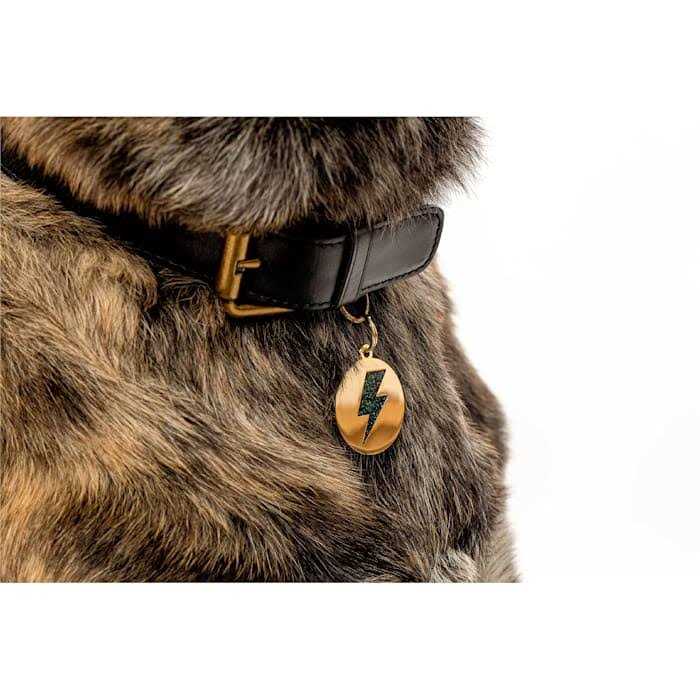 Two Tails Pet Company Lightning Bolt Pet ID Tag - Nail Gallerys