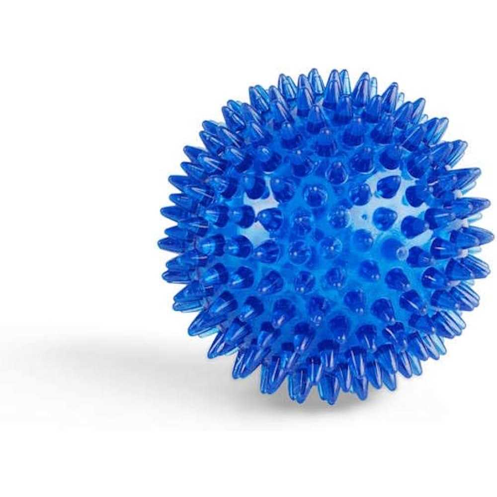 Leaps & Bounds Spiny Ball Dog Chew Toy - Nail Gallerys
