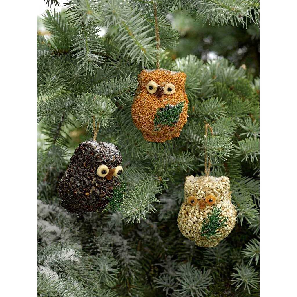 Mr. Bird Ollie Owl Bird Seed Ornaments - Nail Gallerys