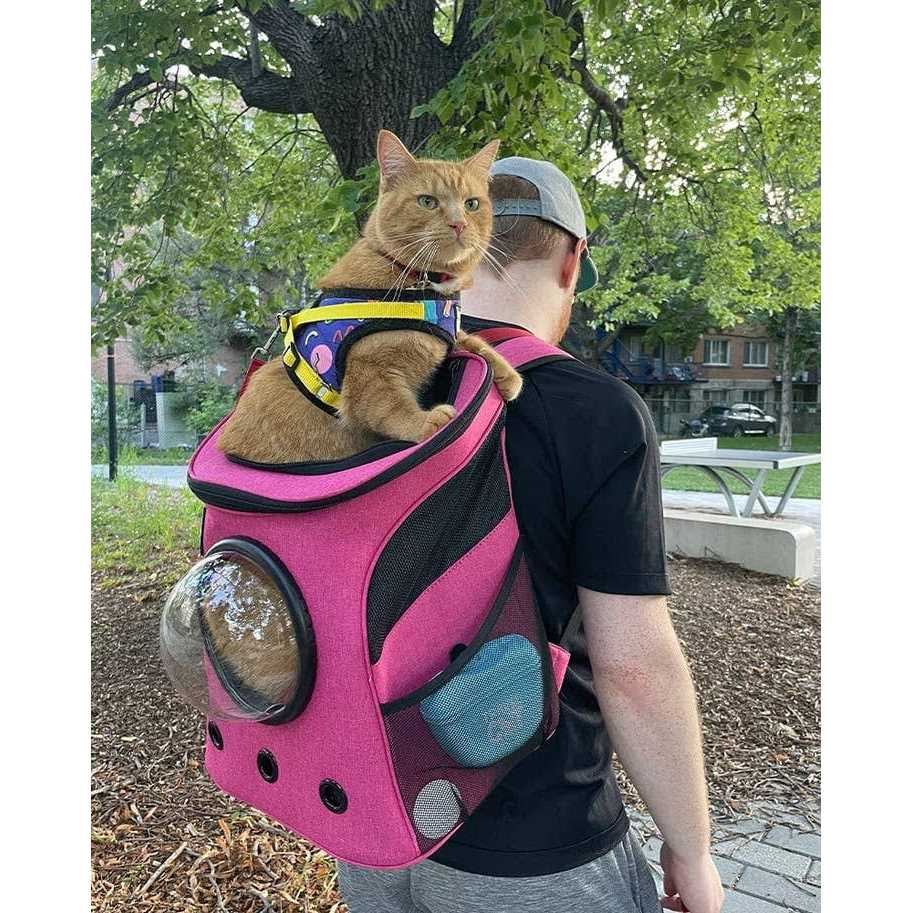 The Fat Cat Cat Backpack - Nail Gallerys
