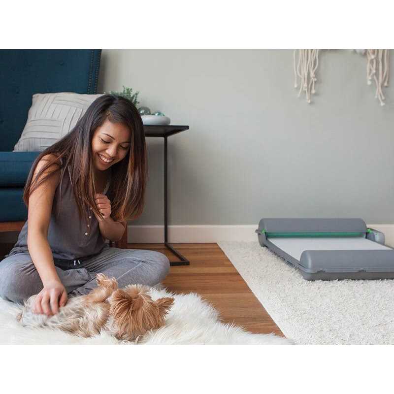 BrilliantPad Self-Cleaning, Automatic Indoor Dog Potty for Puppies and Small Dogs - Nail Gallerys