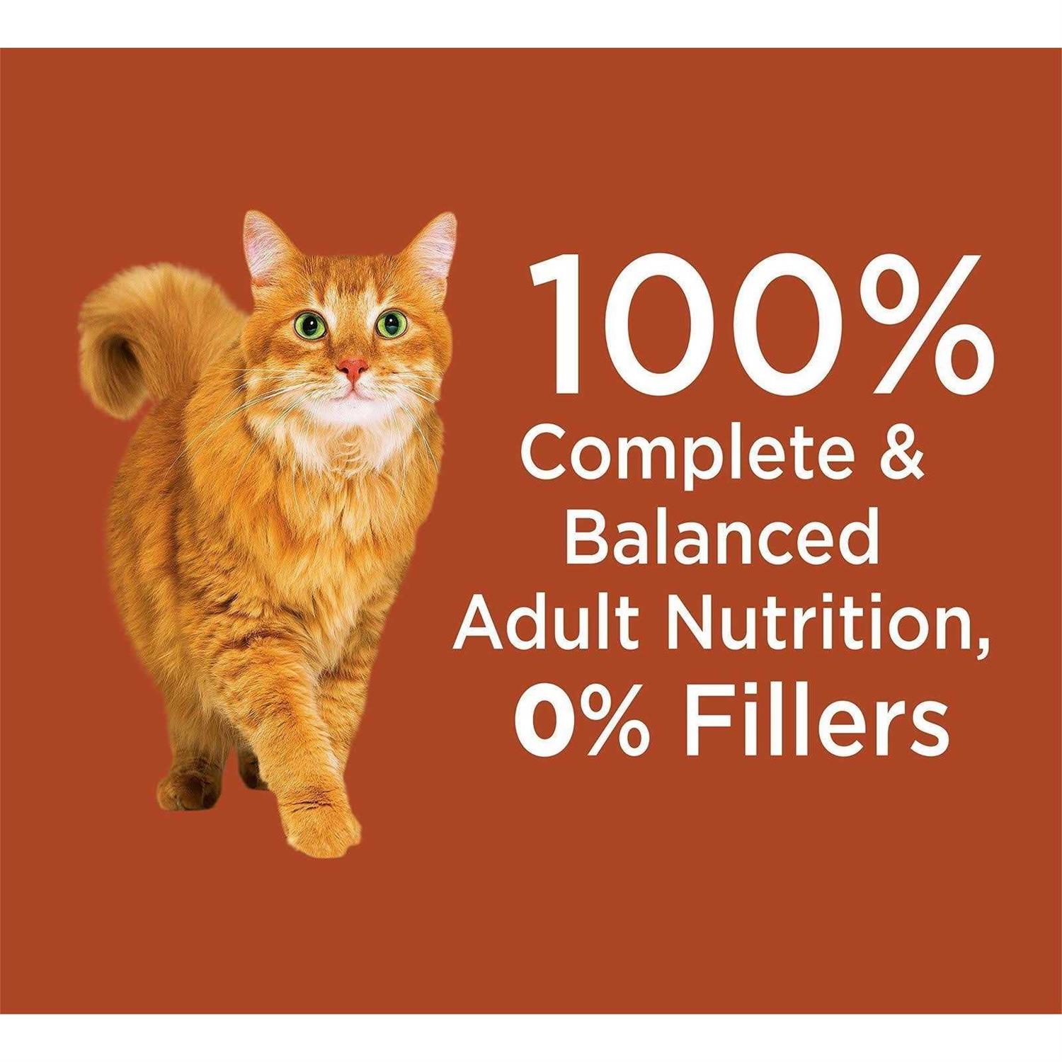Iams Proactive Health High Protein Adult Dry Cat Food with Chicken & Salmon - Nail Gallerys