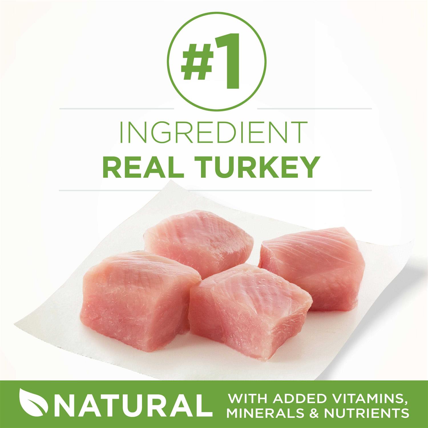 Purina ONE Indoor Advantage Dry Cat Food - Nail Gallerys