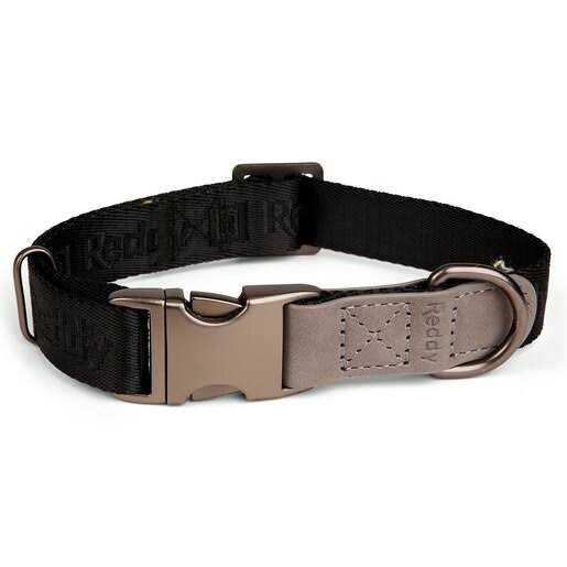 Reddy Dog Collar Jacquard - Nail Gallerys