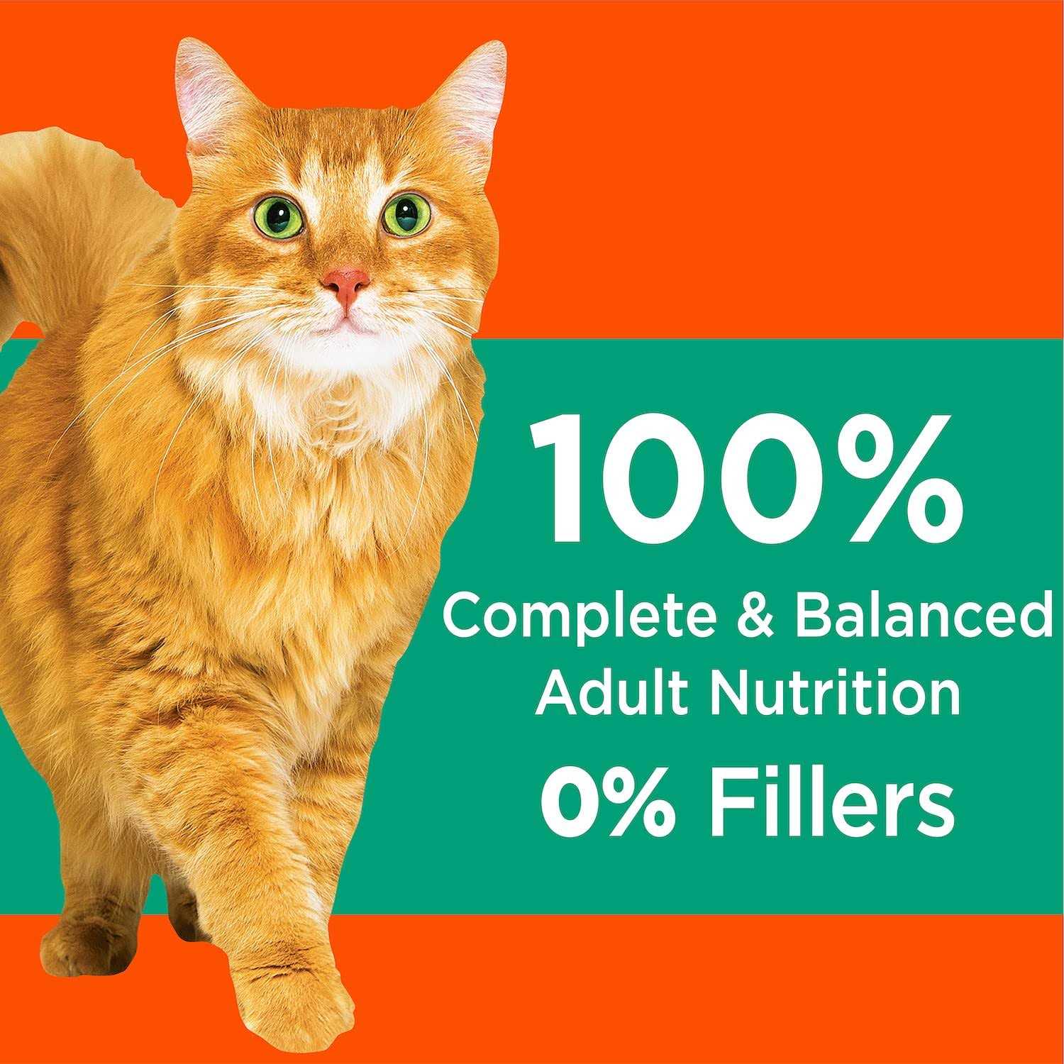 IAMS ProActive Health Hairball Care Adult Cat Dry Food - Nail Gallerys