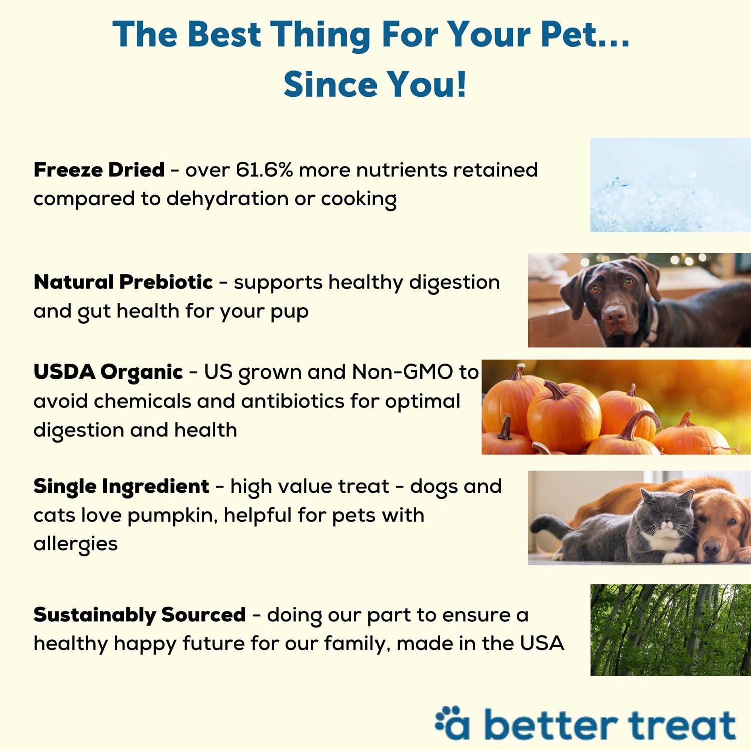 A Better Treat Pumpkin Organic Freeze-Dried Dog & Cat Treats - Nail Gallerys
