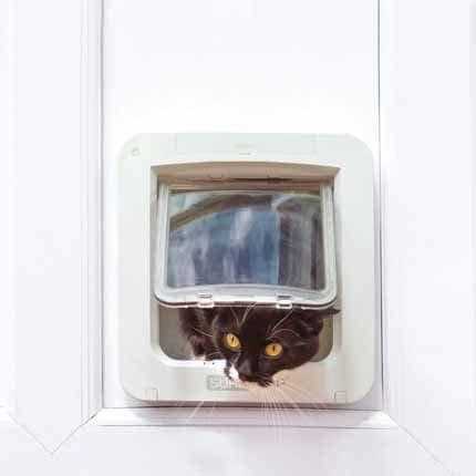SureFlap Microchip Pet Door Connect Without Hub - Nail Gallerys