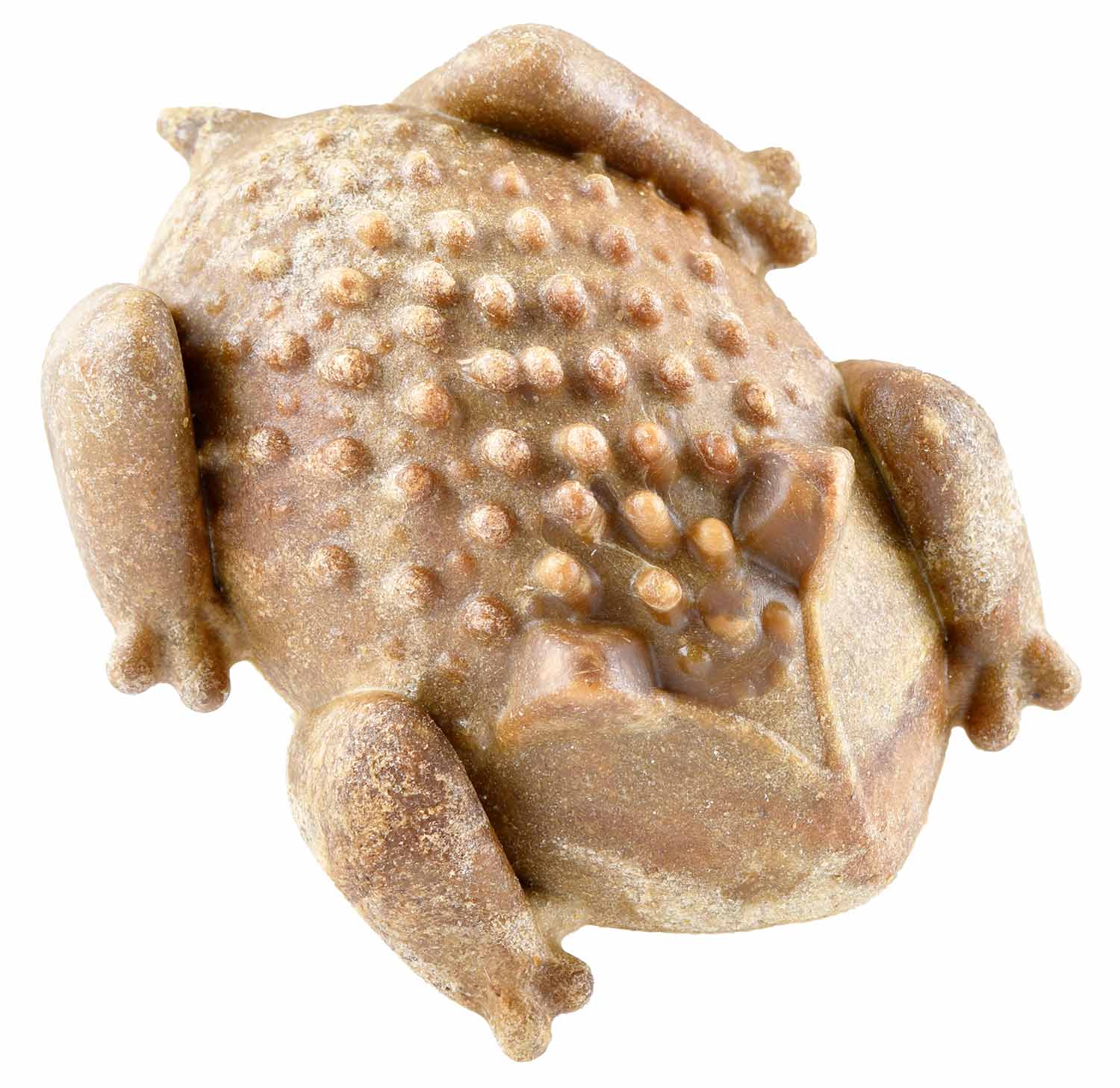 RedBarn Chew-A-Bulls Horned Toad Natural Dental Treat - Nail Gallerys