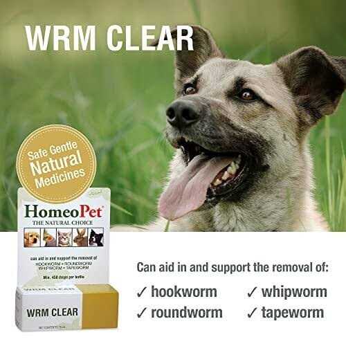 Homeopet Worm Clear - Nail Gallerys