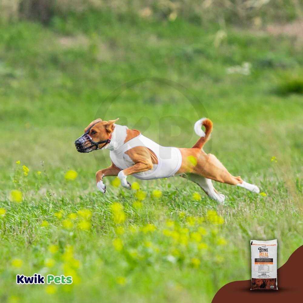 Upco Bone Meal Supplement for Dogs and Cats - Nail Gallerys