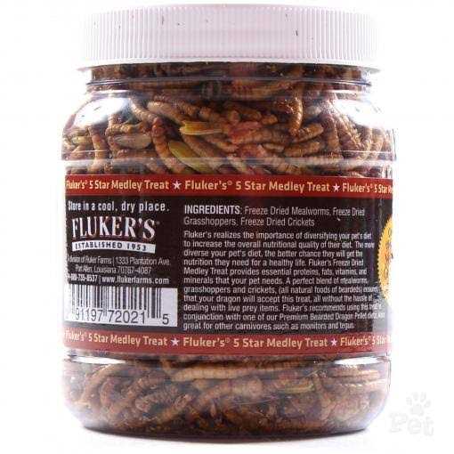 Flukers Bearded Dragon Medley Treat - Nail Gallerys
