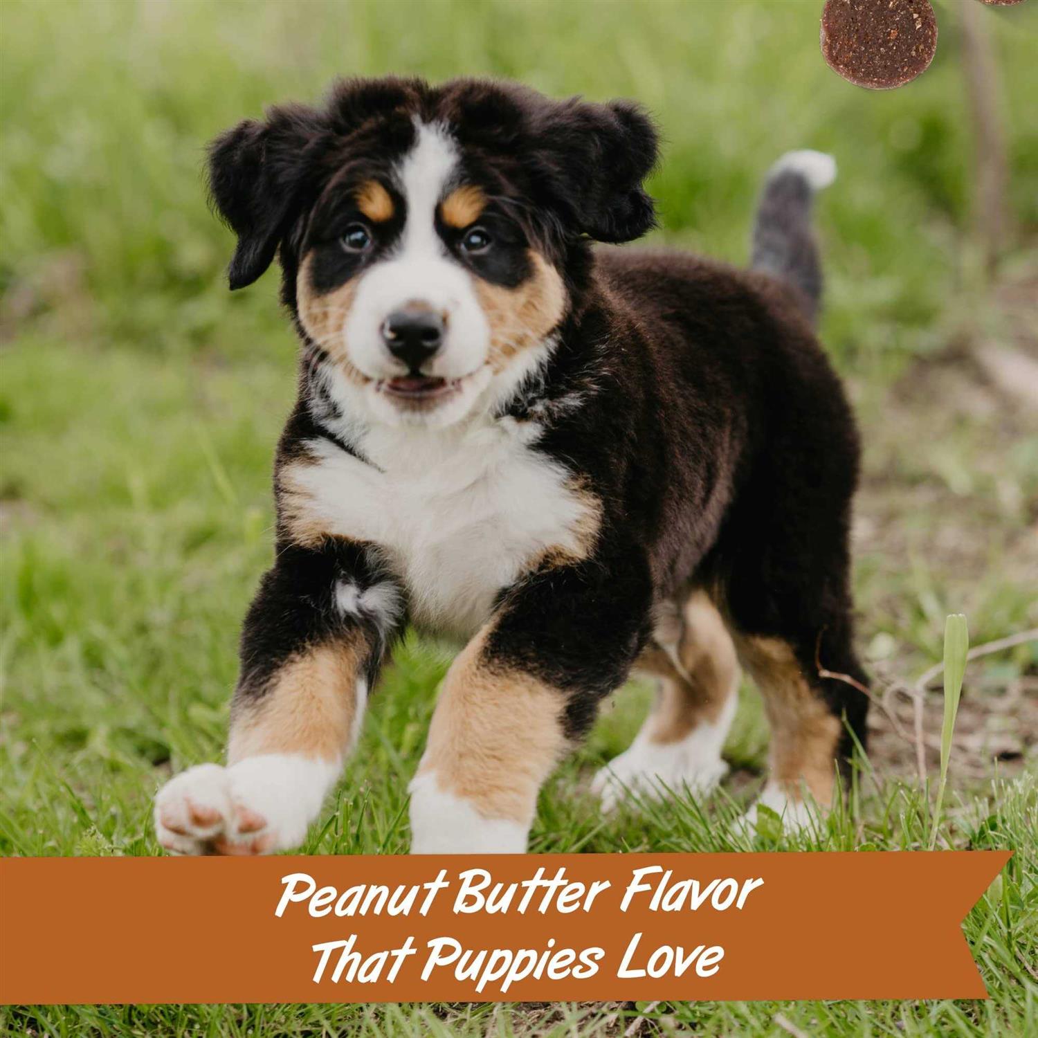 Pet Botanics Peanut Butter Puppy Bites Soft & Chewy Dog Training Treats - Nail Gallerys