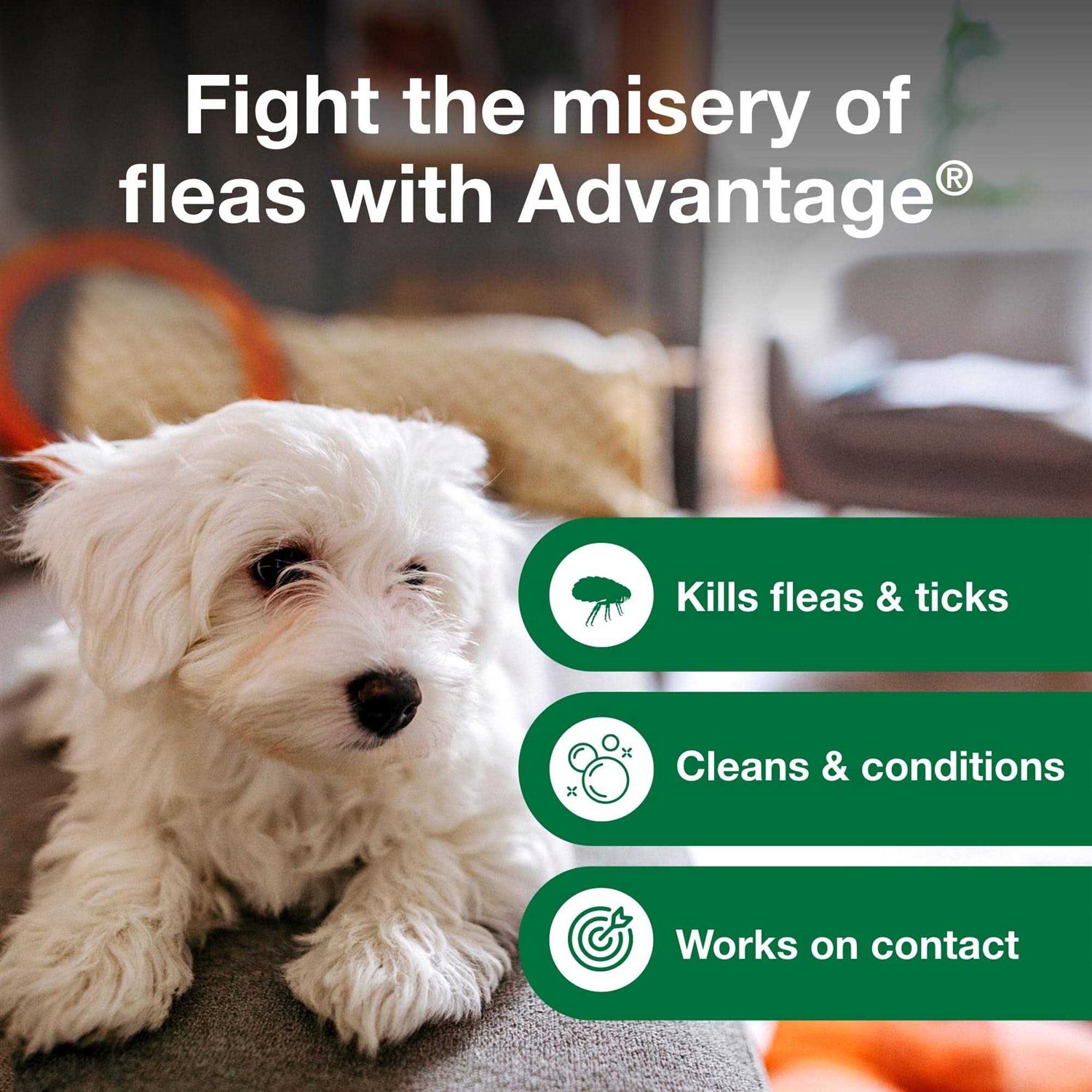 Advantage Flea & Tick Treatment Shampoo for Dogs & Puppies - Nail Gallerys