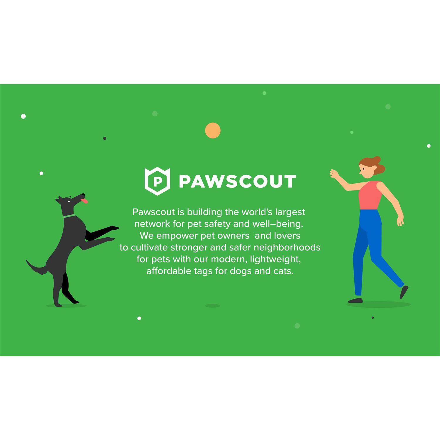 Pawscout The Smart Pet Tag - Nail Gallerys
