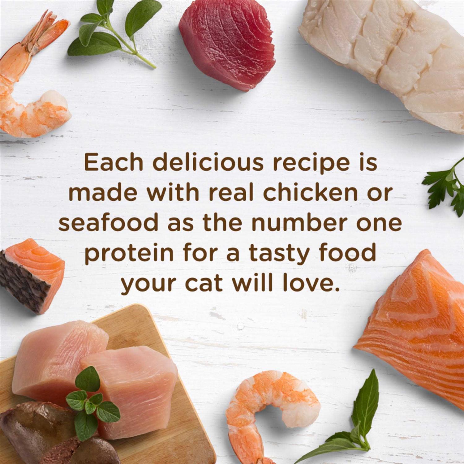 Rachael Ray Nutrish Wet Cat Food, Ocean Fish-A-Licious – 2.8 oz cup - Nail Gallerys