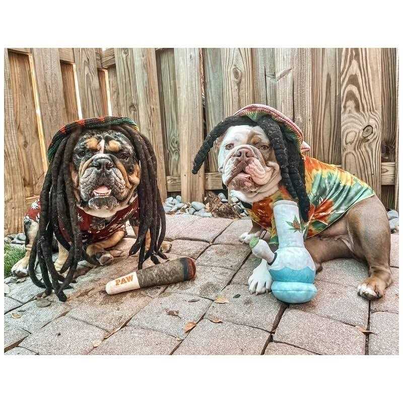 Nestpark Doggy Doobie Funny Dog Toys Plush Squeaky Dog Toys for Medium, Small and Large - Nail Gallerys