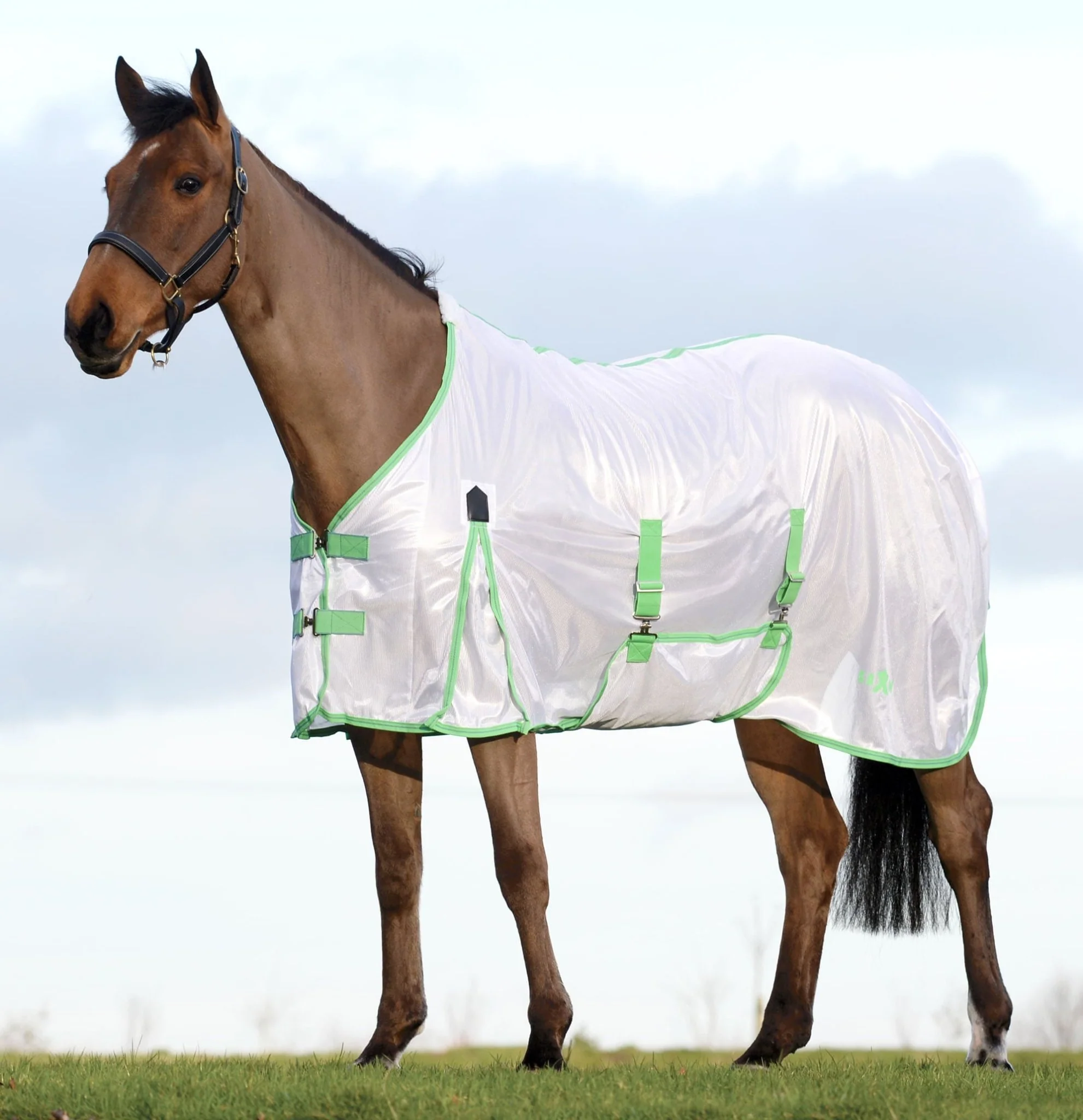 Saxon Standard Neck Mesh Horse Fly Sheet - Nail Gallerys