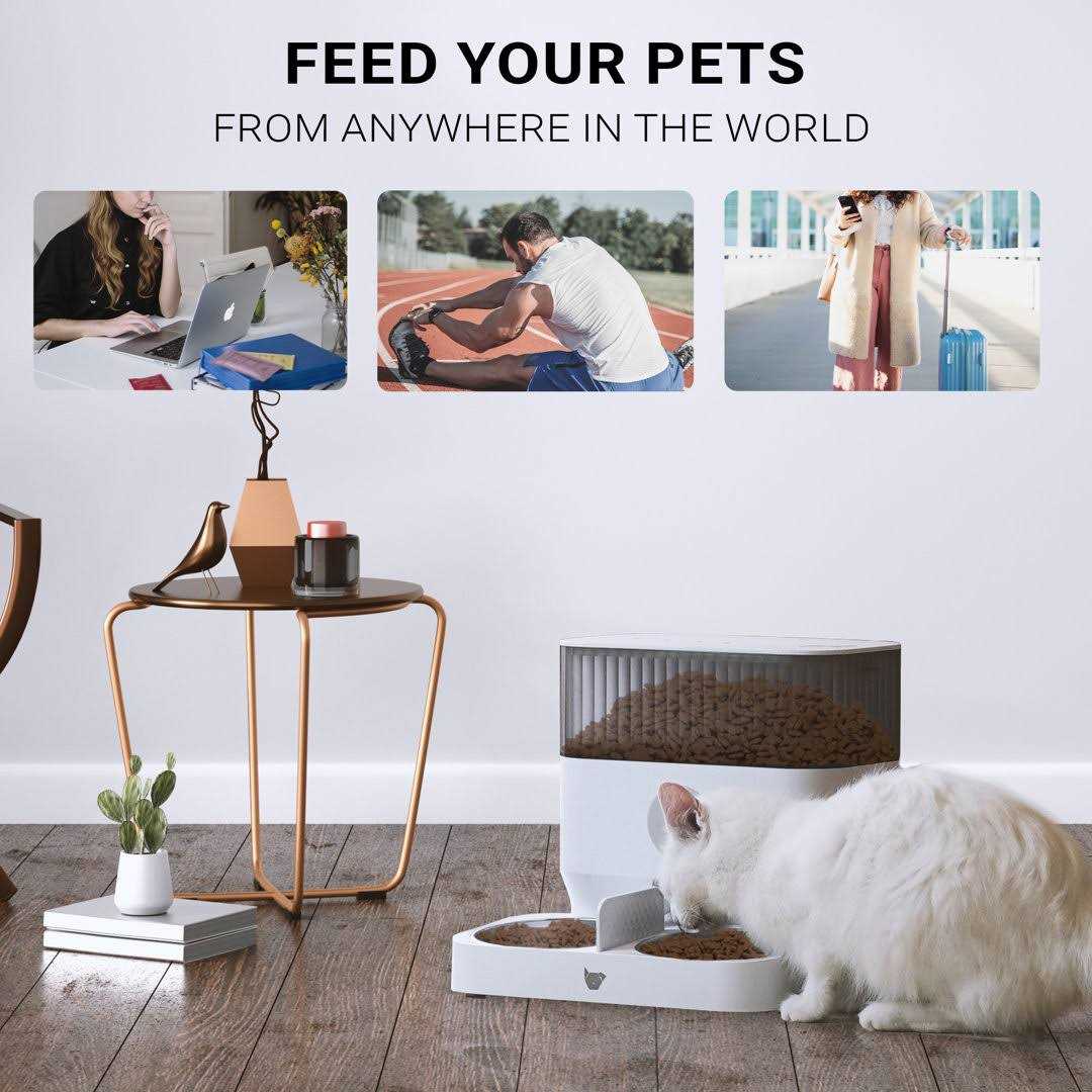 Instachew Cats & Dogs Purechew Double Automatic Pet Feeder - Nail Gallerys